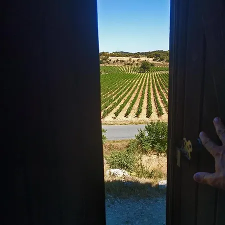 Gasthaus Domaine De Palatz Laure-Minervois Exterior foto