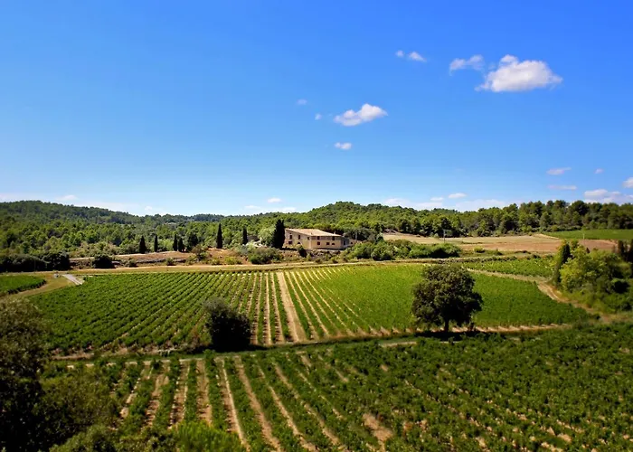 Domaine De Palatz