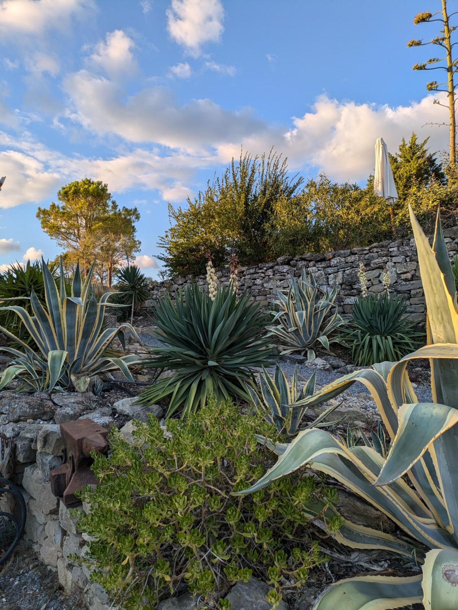 Landhaus Domaine De Palatz Laure-Minervois