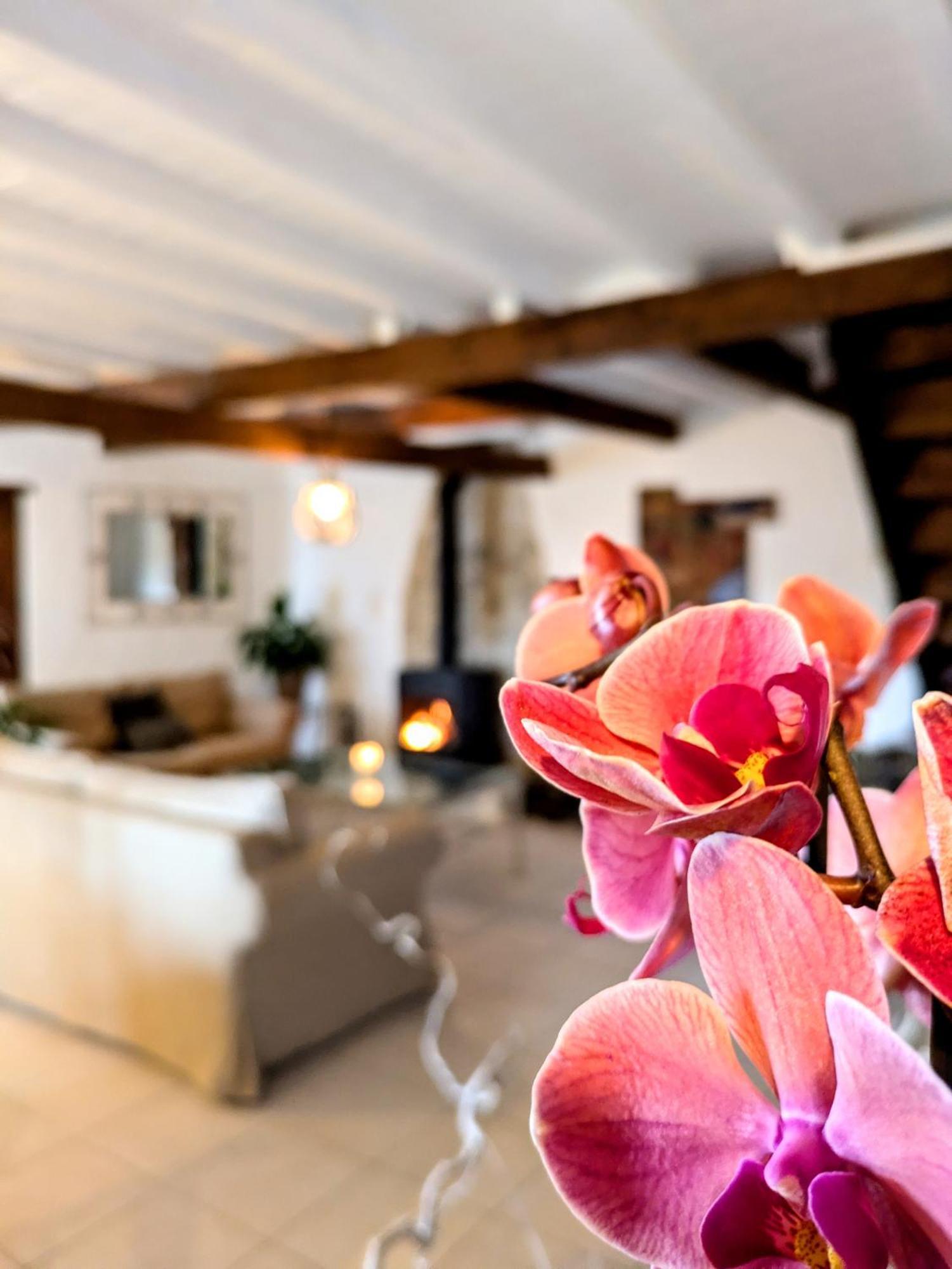 Landhaus Domaine De Palatz Laure-Minervois
