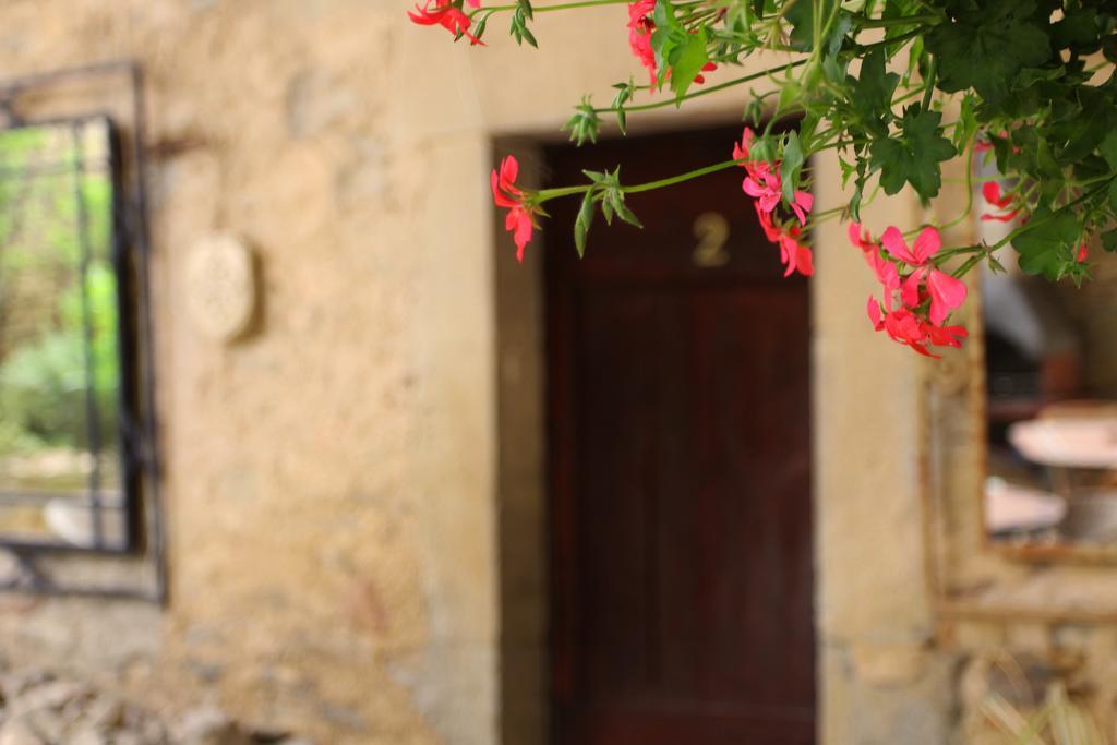 Domaine De Palatz Laure-Minervois