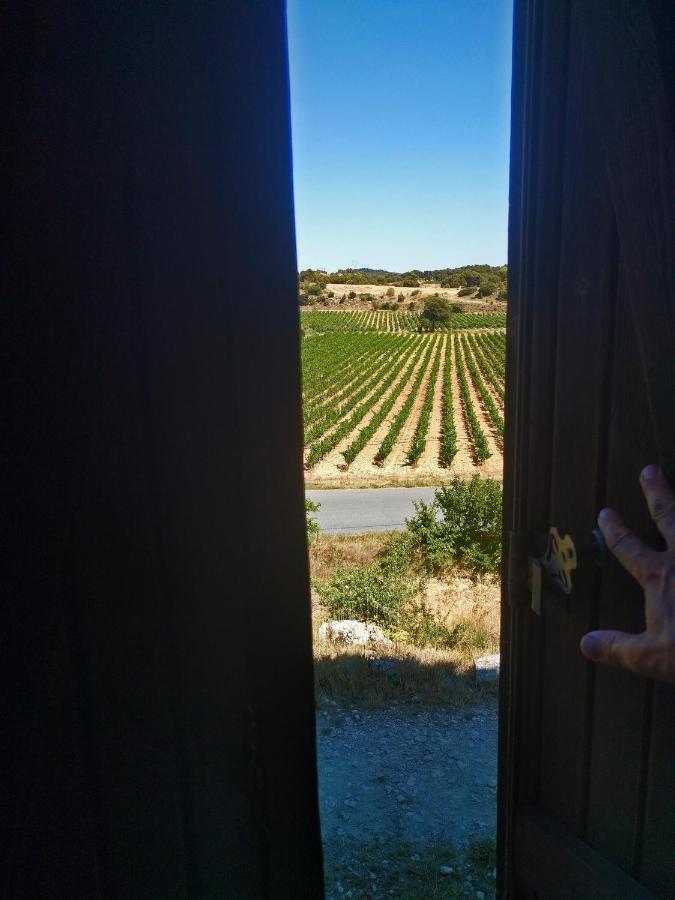 Landhaus Domaine De Palatz Laure-Minervois