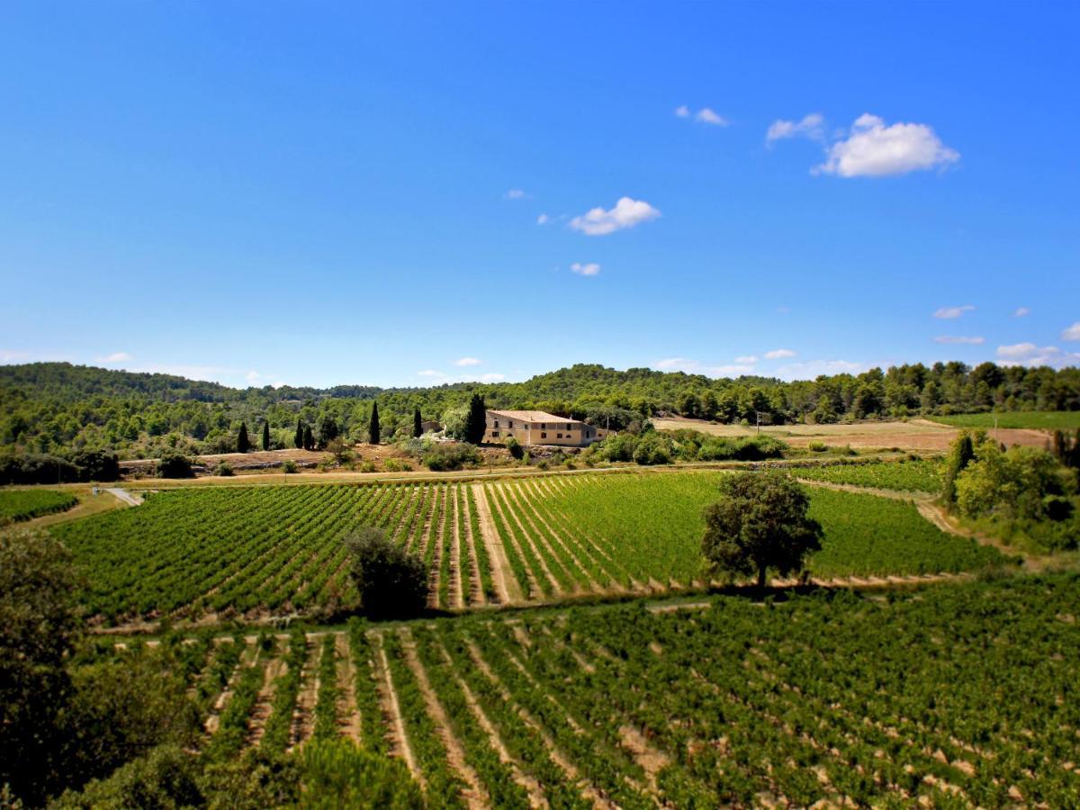 Domaine De Palatz Landhaus